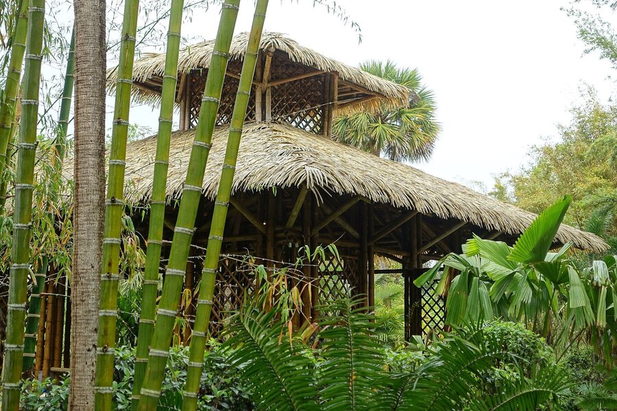 Guadua bamboo pavilion at McKee Botanical Garden, Vero Beach, Florida, USA