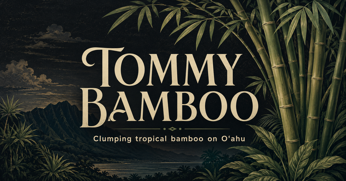 Bamboo Species by Genus | Tommy Bamboo
